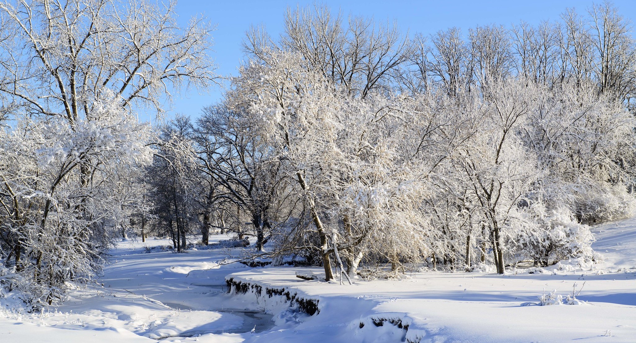 Snow-covered trees and a frozen stream in a serene winter landscape under a clear blue sky.