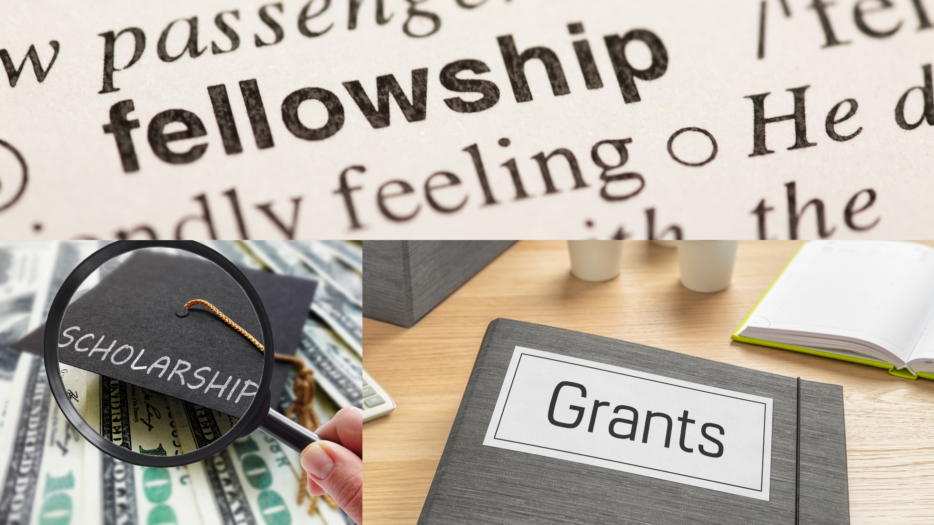 Fellowship,grants,scholarship :estudykit.com