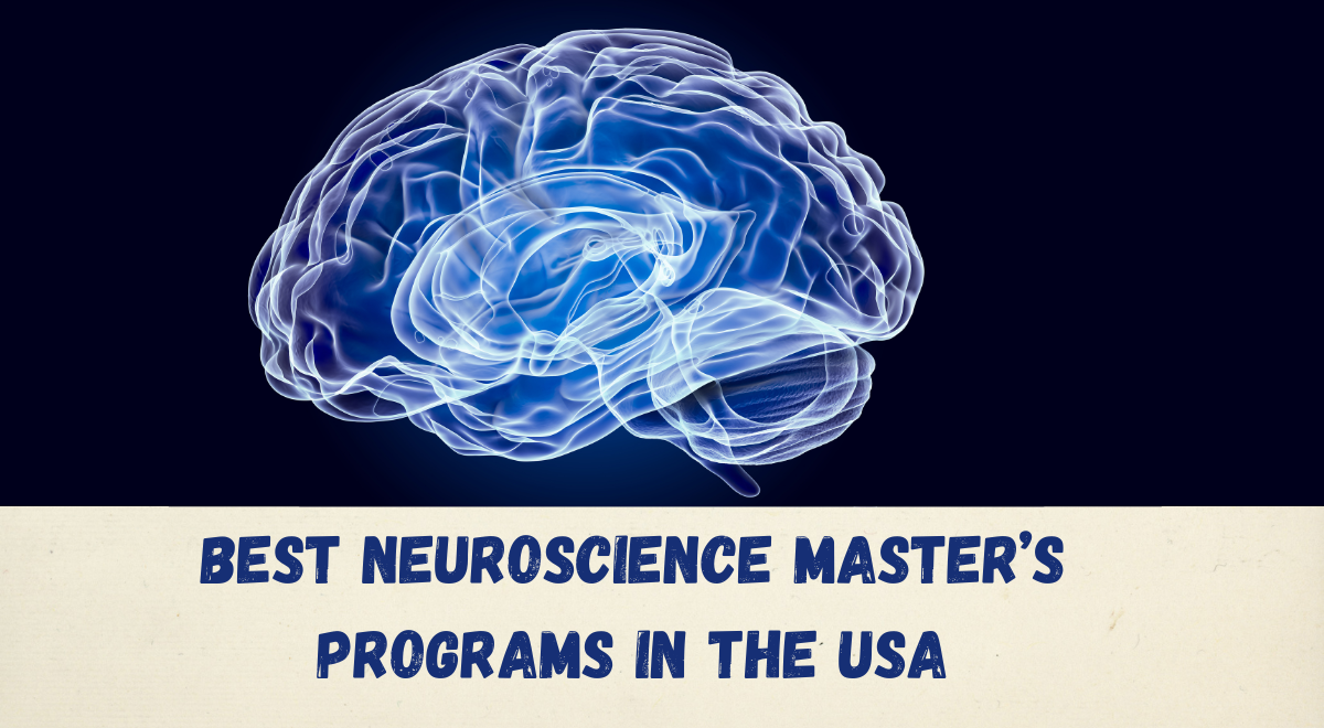 Best Neuroscience Master’s Programs in the USA