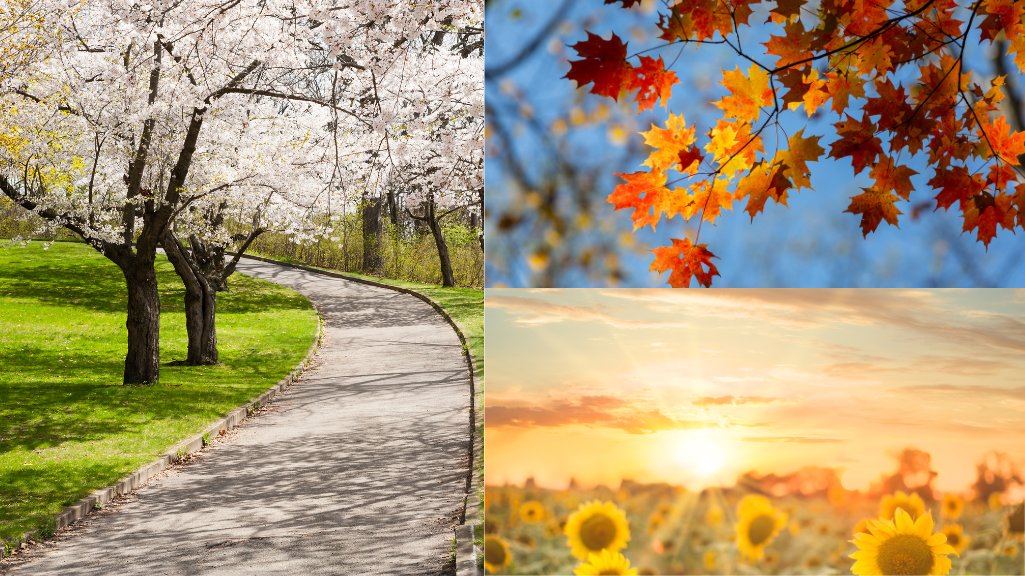 Natural Images of three seasons